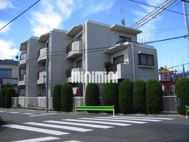 �I�X�X�������ʐ^