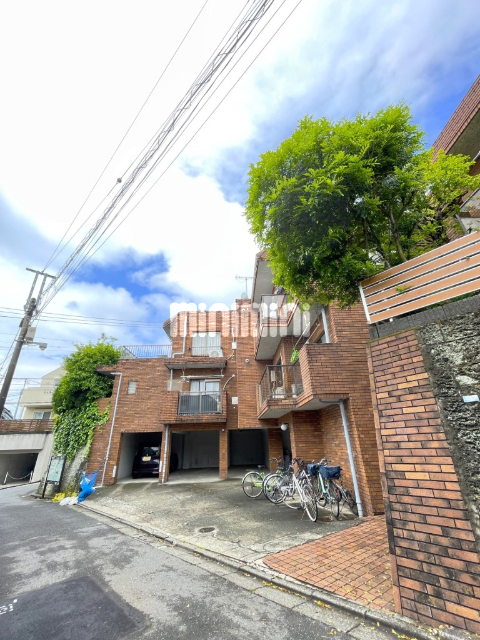 ���l���k�E���ݐ��@��X�w�i�k��11���j