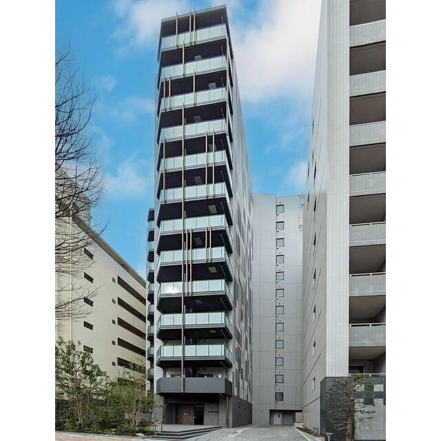 �I�X�X�������ʐ^