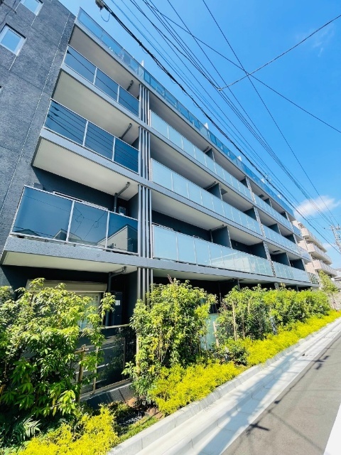 ���}��������@�L�̖؉w�i�k��8���j