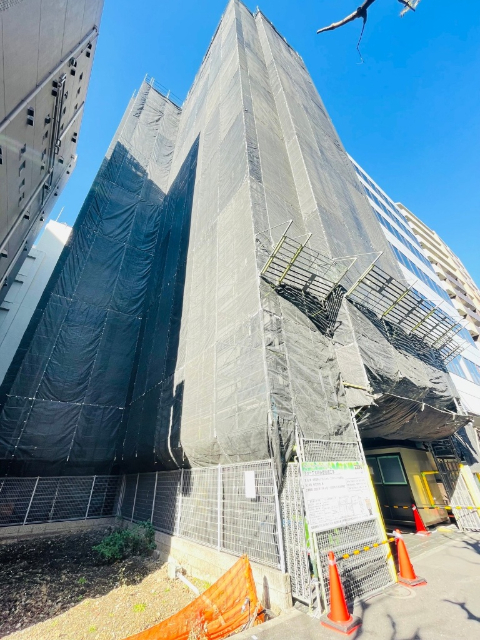 �I�X�X�������ʐ^