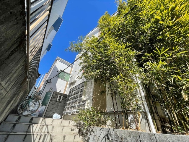 �����s���c�J�摾�q���T���ڂP�q