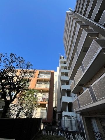 �����s�ڍ��攪�_�P���ڂP�q