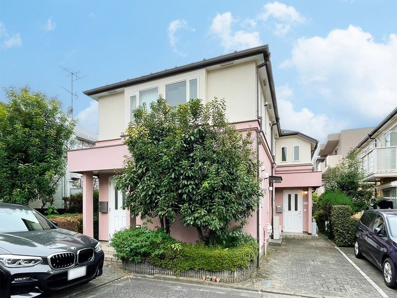 �����d�S��̓����@�l�c�R�w�i�k��3���j