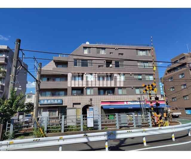 ���}��������@�L�̖؉w�i�k��14���j