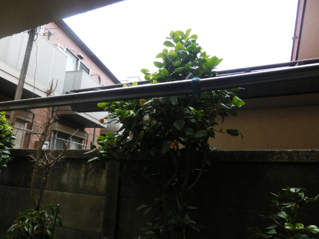 内観9