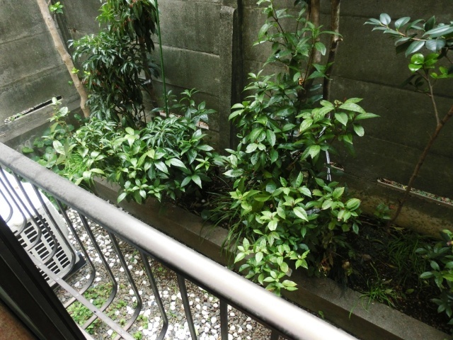 内観8