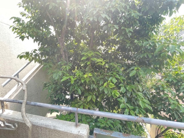 内観16