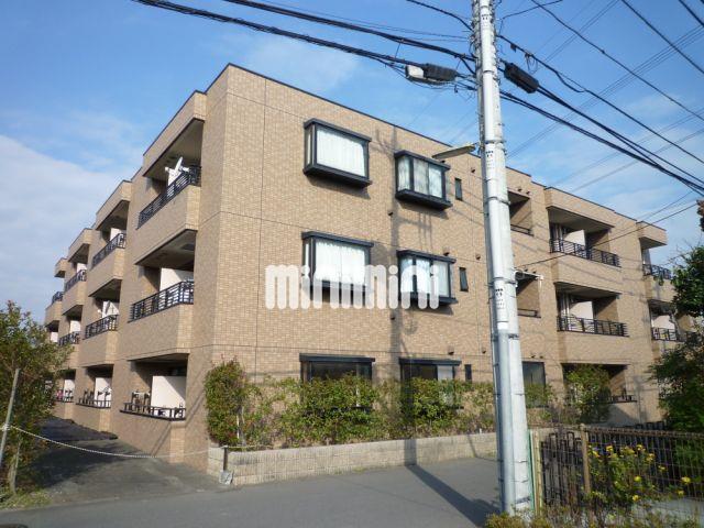 ���c�}�d�S���c�����@�ߐ�w�i�k��8���j