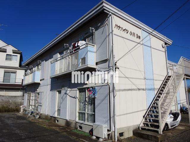 ���l�s�c�n���S�u���[���C���@�Бq���w�i�o�X13�� �E���싴��A �k��3���j�A���l�s�c�n���S�u���[���C���@�Бq���w�i�k��40���j