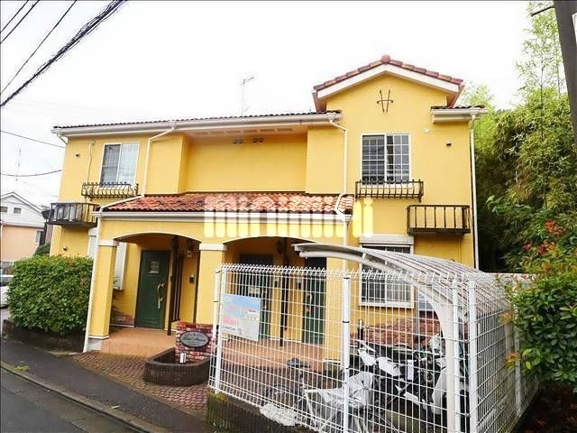 �I�X�X�������ʐ^