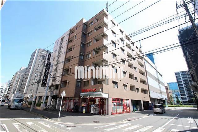 ���l�s�c�n���S�u���[���C���@�V���l�w�i�k��8���j