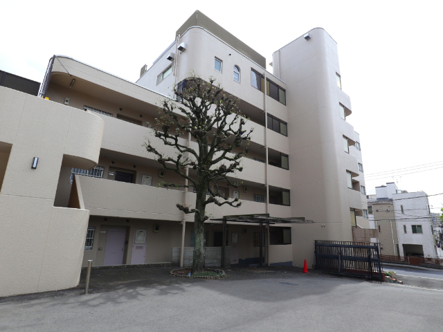 �_�ސ쌧���l�s�`�k��j����R�c�j