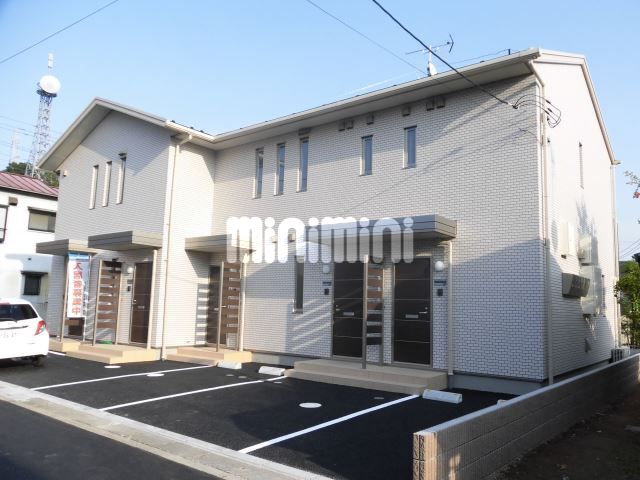 ���{����@���˒ˉw�i�k��20���j