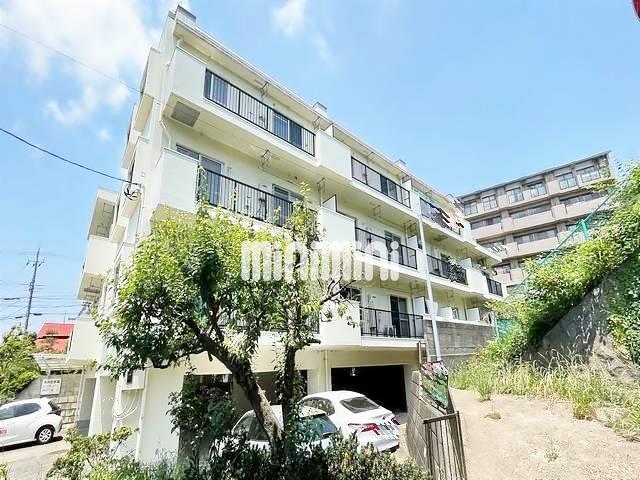 ���C���{���@�˒ˉw�i�k��15���j