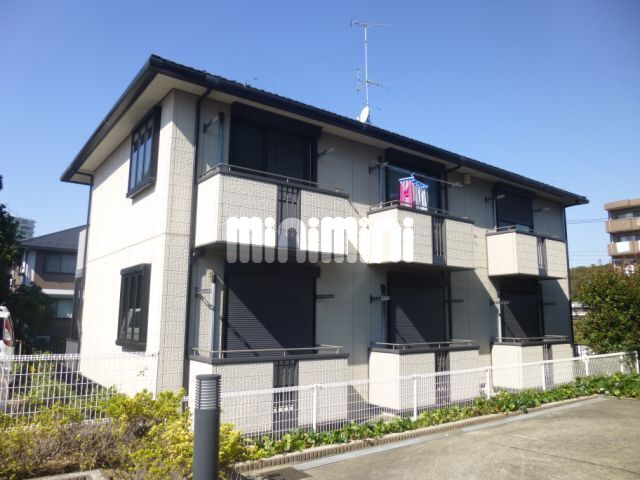 ���{����@���˒ˉw�i�k��11���j