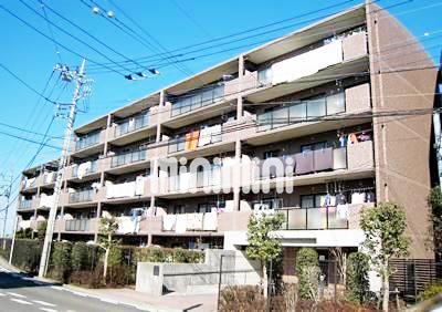 �_�ސ쌧���l�s�΋�k���񒬂P�c�j