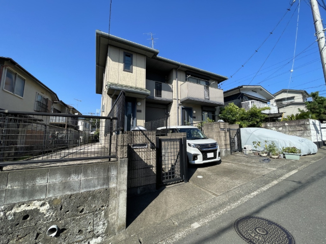 ���l�s�c�n���S�u���[���C���@���ѓc�w�i�k��14���j