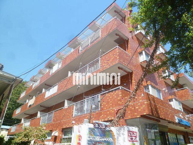 ���}���ǂ��̍����@���ǂ��̍��w�i�k��11���j