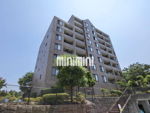 ���l�s�c�n���S�O���[�����C���@��a���w�i�k��15���j