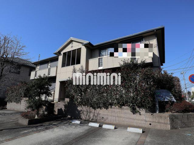 ���l�s�c�n���S�O���[�����C���@�k�R�c�w�i�k��10���j