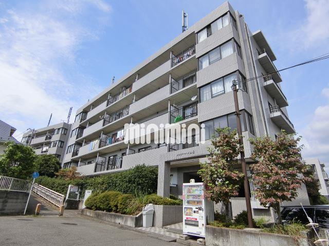 ���l�s�c�n���S�O���[�����C���@�k�R�c�w�i�k��11���j