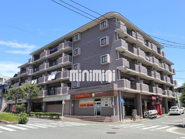 �_�ސ쌧���l�s�s�}���R�c�Q���ڂQ�k�c�j