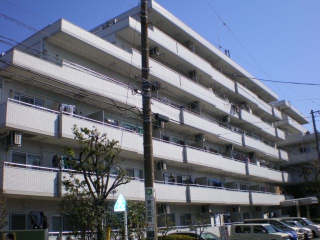 �ߌ����@���P�w�i�k��13���j