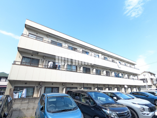 �_�ސ쌧���s����a���P���ڂP�q