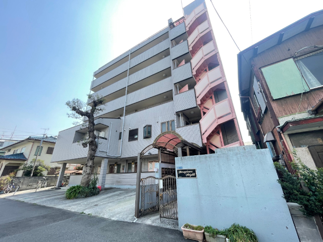 ���{����@�V���w�i�k��20���j