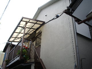 ���}�������@���Z�g�w�i�k��10���j