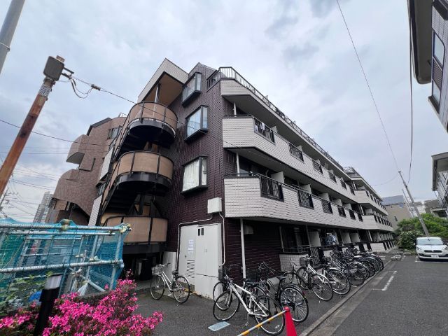 ���}�������@�V�ێq�w�i�k��19���j