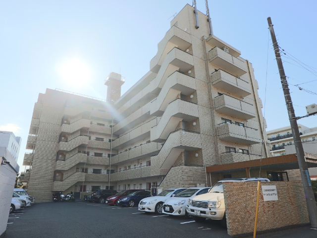 ���}�������@�V�ێq�w�i�k��23���j