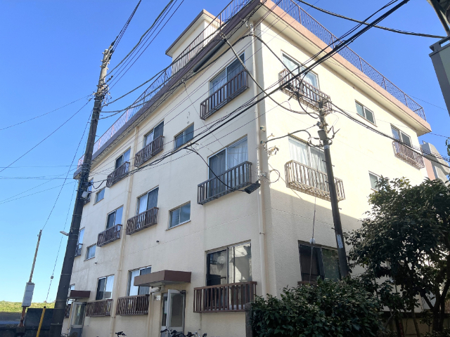 ���}�������@�V�ێq�w�i�k��13���j