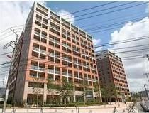 ���{����@���������w�i�k��5���j�A���}�������@���������w�i�k��7���j�A���}�ڍ����@���������w�i�k��7���j