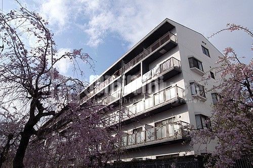 �앐���@�����a�m���w�i�k��16���j�A���}�c���s�s���@�a�̌��w�i�k��16���j