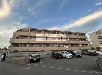 ���c�}�d�S���c�����@�o�ˉw�i�k��20���j