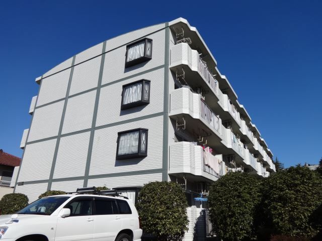 ���l���@�Õ��w�i�k��29���j