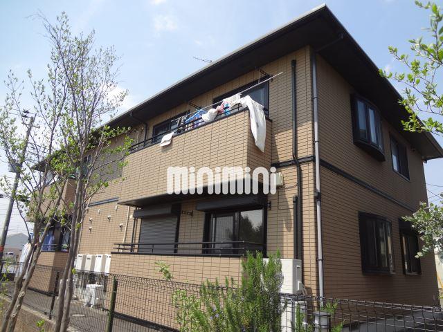 ���͐��@�������w�i�k��6���j