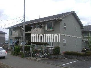 ���͐��@�������w�i�k��25���j