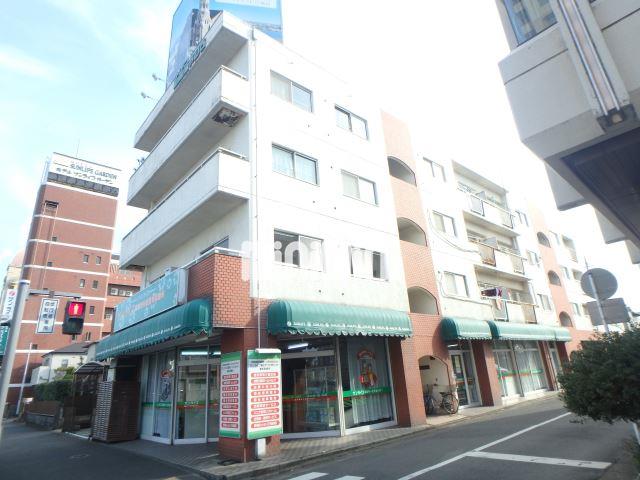 ���C���{���@���ˉw�i�k��19���j