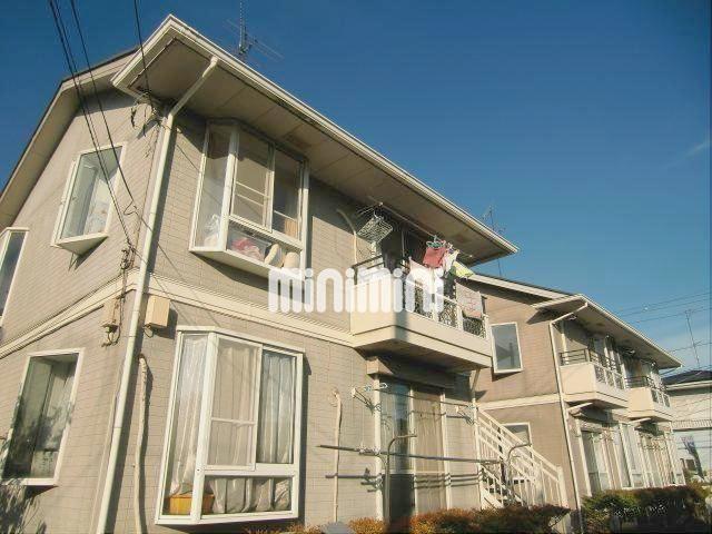 ���C���{���@����w�i�o�X14�� �E�F�̐X��A �k��8���j