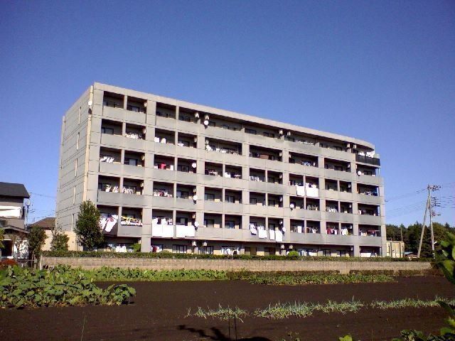 �_�ސ쌧��a�s�[�����R���ڂR�c�j