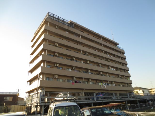 ���c�}�d�S���c�����@�C�V���w�i�k��25���j