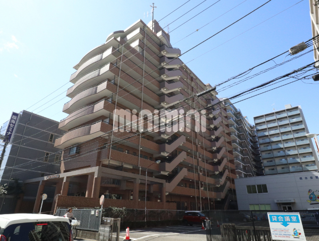 ���c�}�d�S���c�����@�C�V���w�i�k��6���j