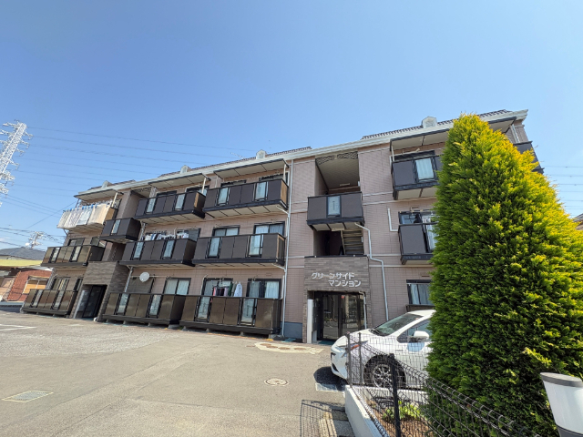 �ɓ�������Y�R���@�ˌ��w�i�k��7���j