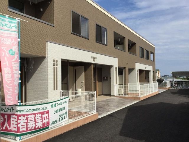 �ɓ�������Y�R���@�a�c�͌��w�i�k��14���j