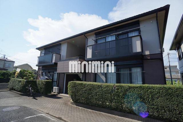 ���͐��@����w�i�k��19���j