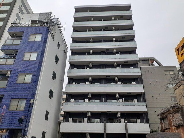 �I�X�X�������ʐ^