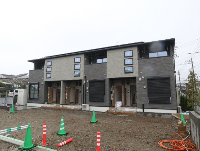 ���͐��@�q���w�i�k��17���j